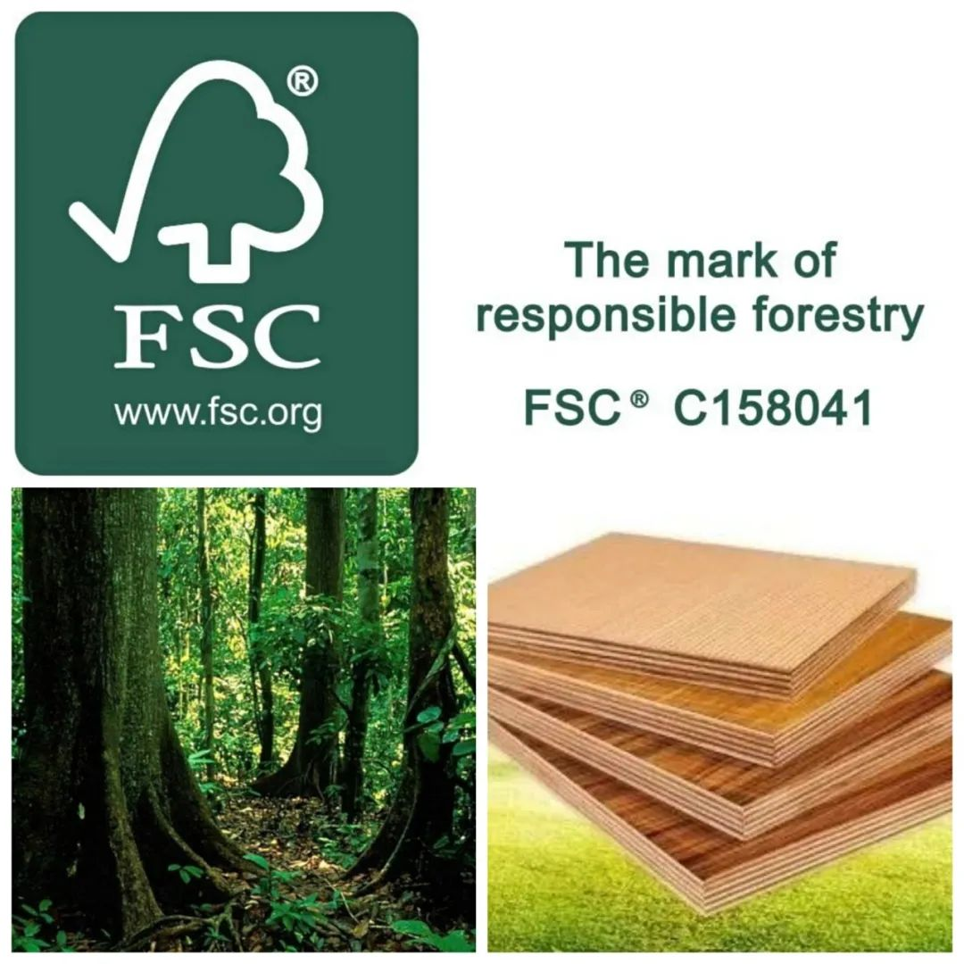 实力彰显品质｜TEPE荣获“绿色正品家居品牌”认证(图5)