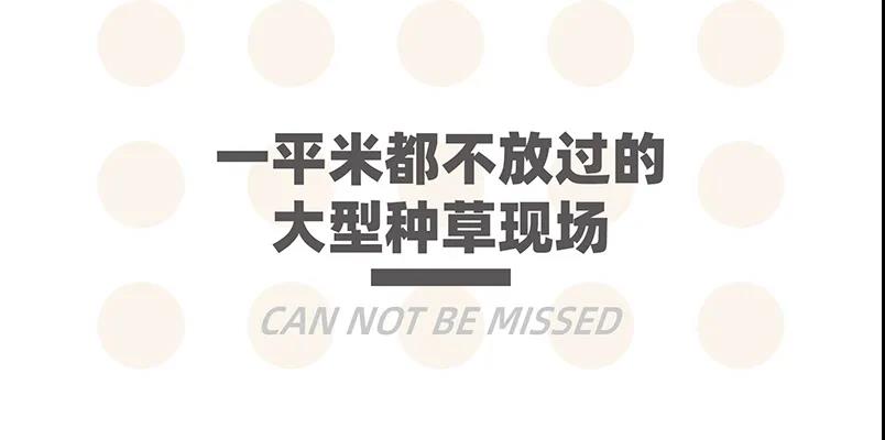 疫情后重启，「Design·夏恩家居奢品荟」开业仪式9.25正式举行！(图11)