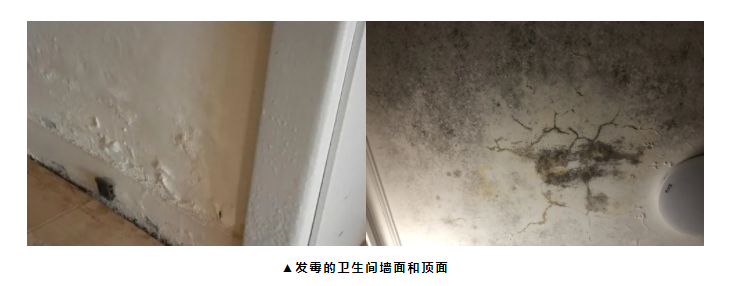 梅雨季的卫生间危险危险危险！！(图1)