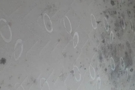 梅雨季的卫生间危险危险危险！！(图3)