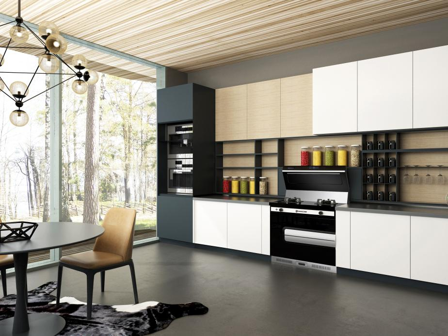 集成灶10大品牌选购指南(图2)