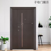 WL王力甲级安全进户门防盗门C级锁芯子母单门CL59家用定制